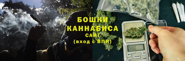 сатива Семёнов