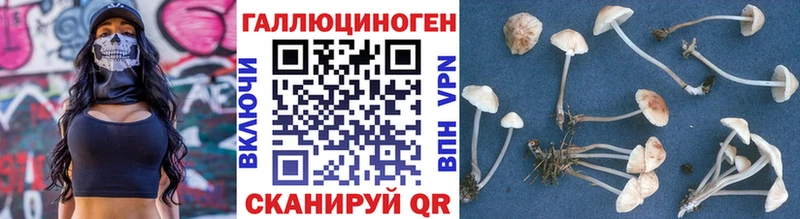 Галлюциногенные грибы мицелий  Дюртюли 